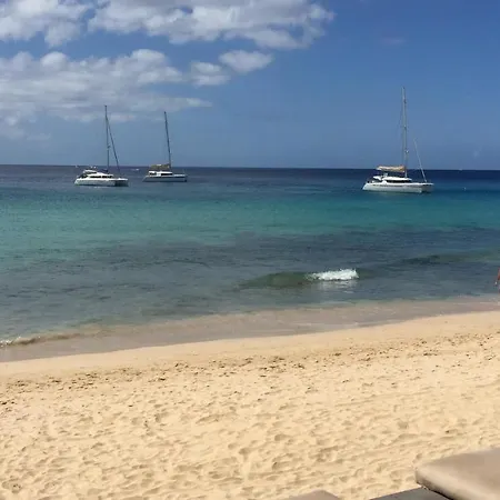 Clara's Sun Apart. Ii *