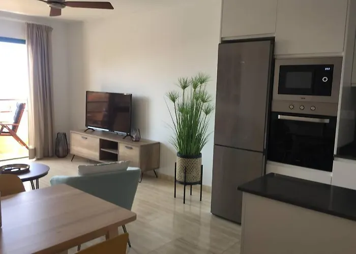 Clara's Sun Apart. Ii