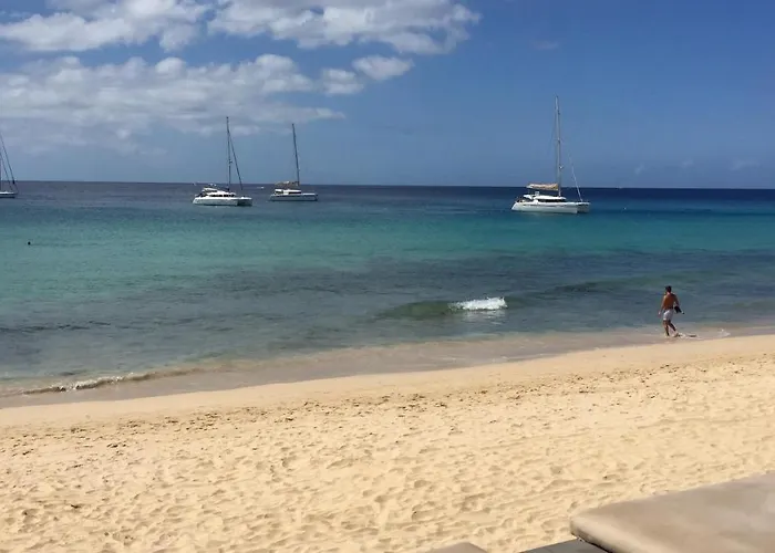 Clara's Sun Apart. Ii *